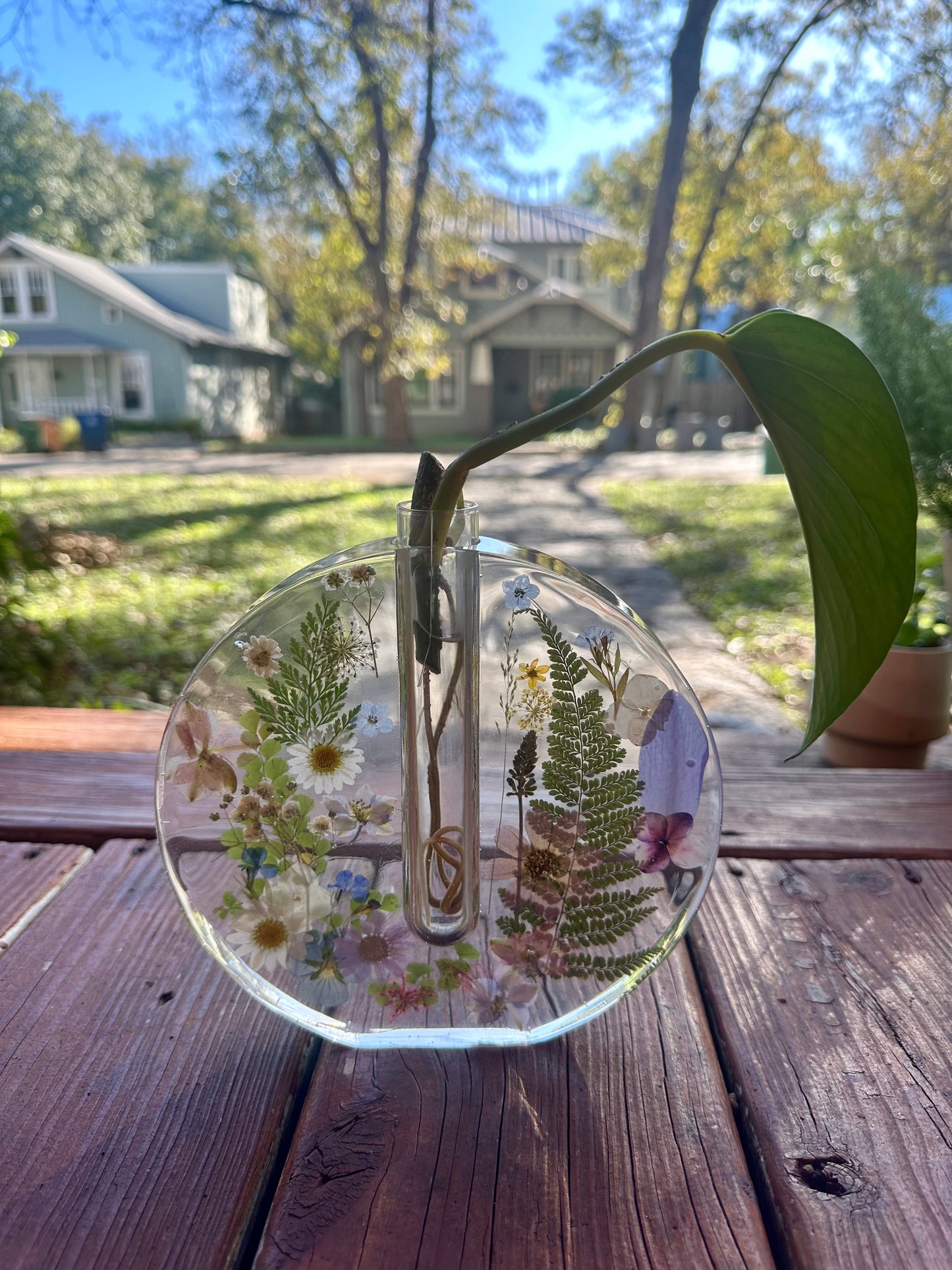 Round Test Tube Floral Vase